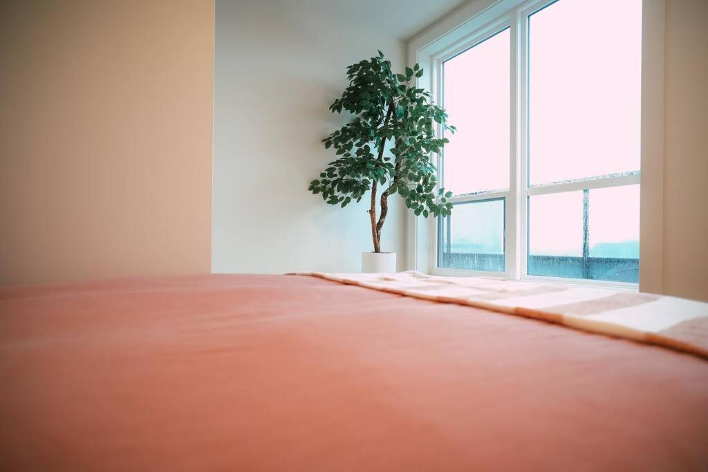 Chic Cozy Retreat - 2Br - Stunning North End Views Appartement Halifax Buitenkant foto