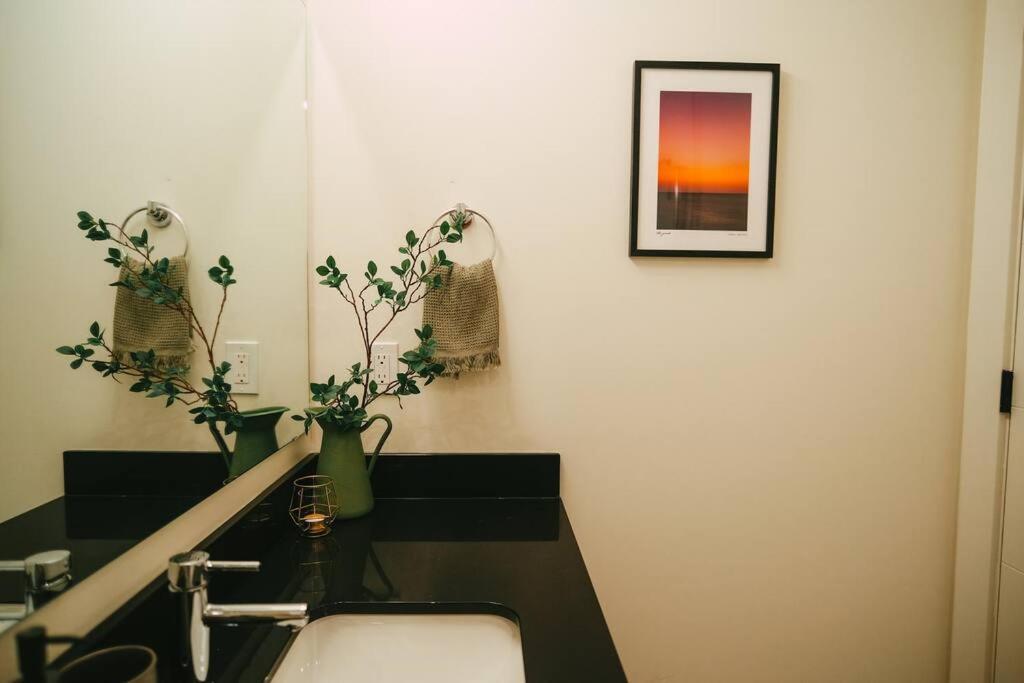 Chic Cozy Retreat - 2Br - Stunning North End Views Appartement Halifax Buitenkant foto